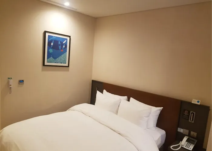 阿尔班市酒店 酒店